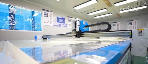 硬技術(shù)強(qiáng)韌性支撐民企海外突圍，技術(shù)服務(wù)鑄就全球競爭力