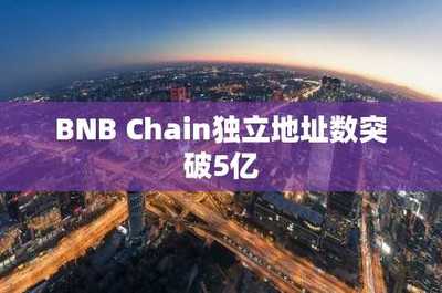BNB Chain獨立地址數突破5億 軟件開發的新里程碑