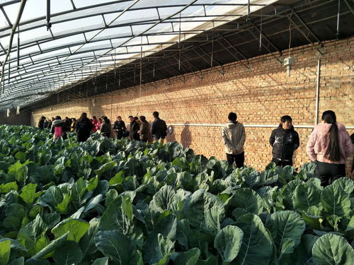 助推北京農(nóng)業(yè)信息化發(fā)展，奧科美獲北京市農(nóng)產(chǎn)品產(chǎn)銷信息協(xié)會(huì)表彰